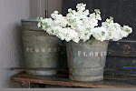 English Galvanized Zinc Florist's FLOWER Buckets