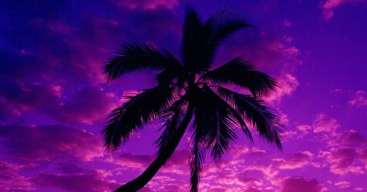 The Beautiful Colors of Life - Purple | Cool Photo Gallery