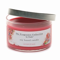 [glade+candles+coupon.JPG]