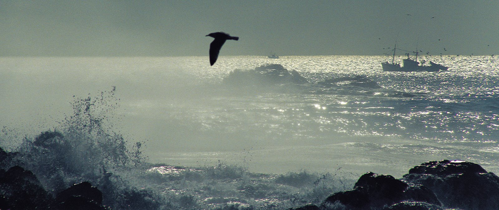 [10-11_11416.+(2)jpg]