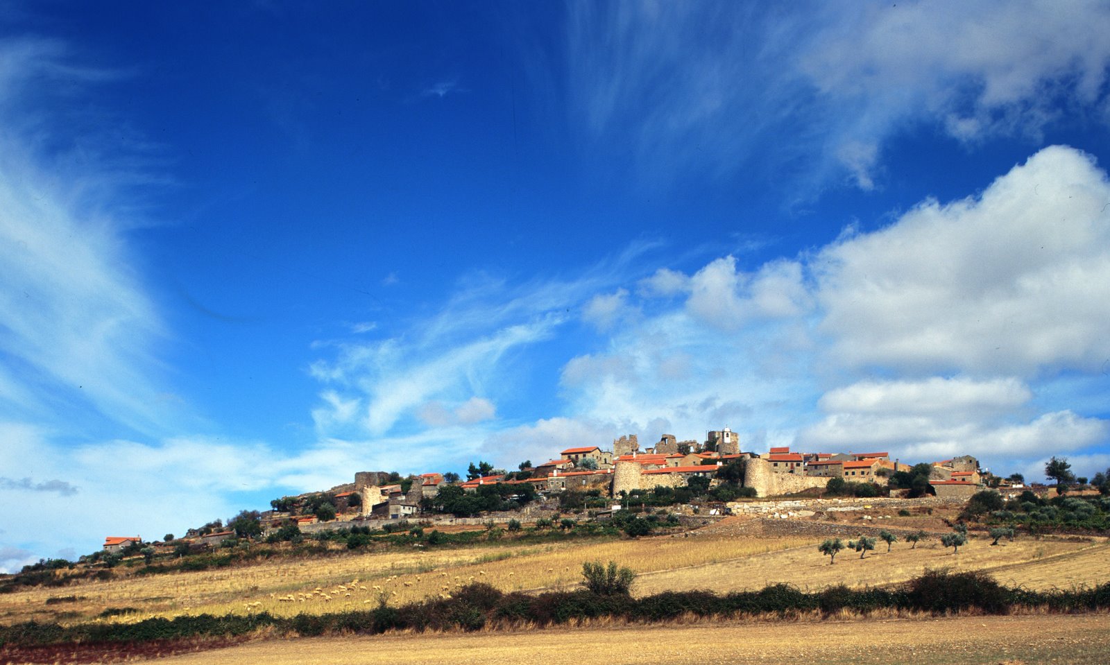 [CASTELO+RODRIGO++.jpg]