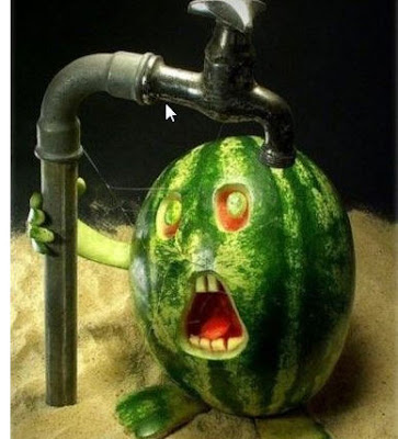 Unusual and Funny Water Melon Pics