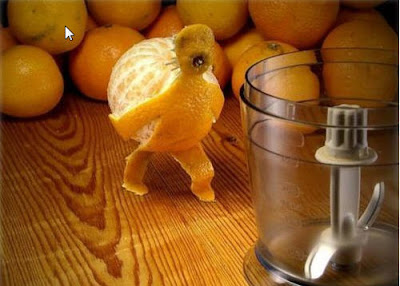 Funny Oranges Photos and Pictures