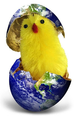Cute Photo Of Chicken In A Globe