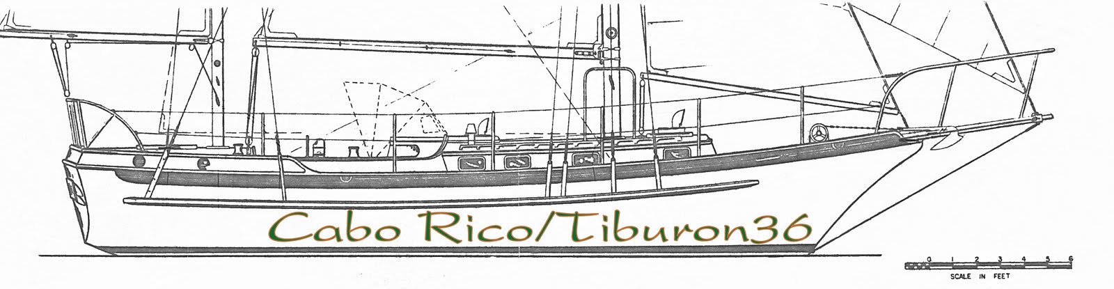 Cabo Rico_Tiburon36