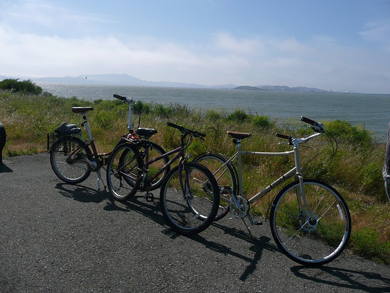 raleigh superbe roadster