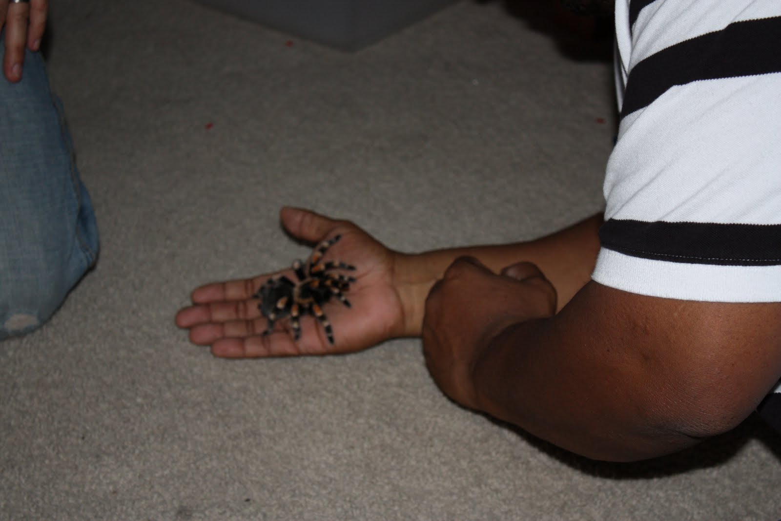 [brice's+bday+pics+086.JPG]