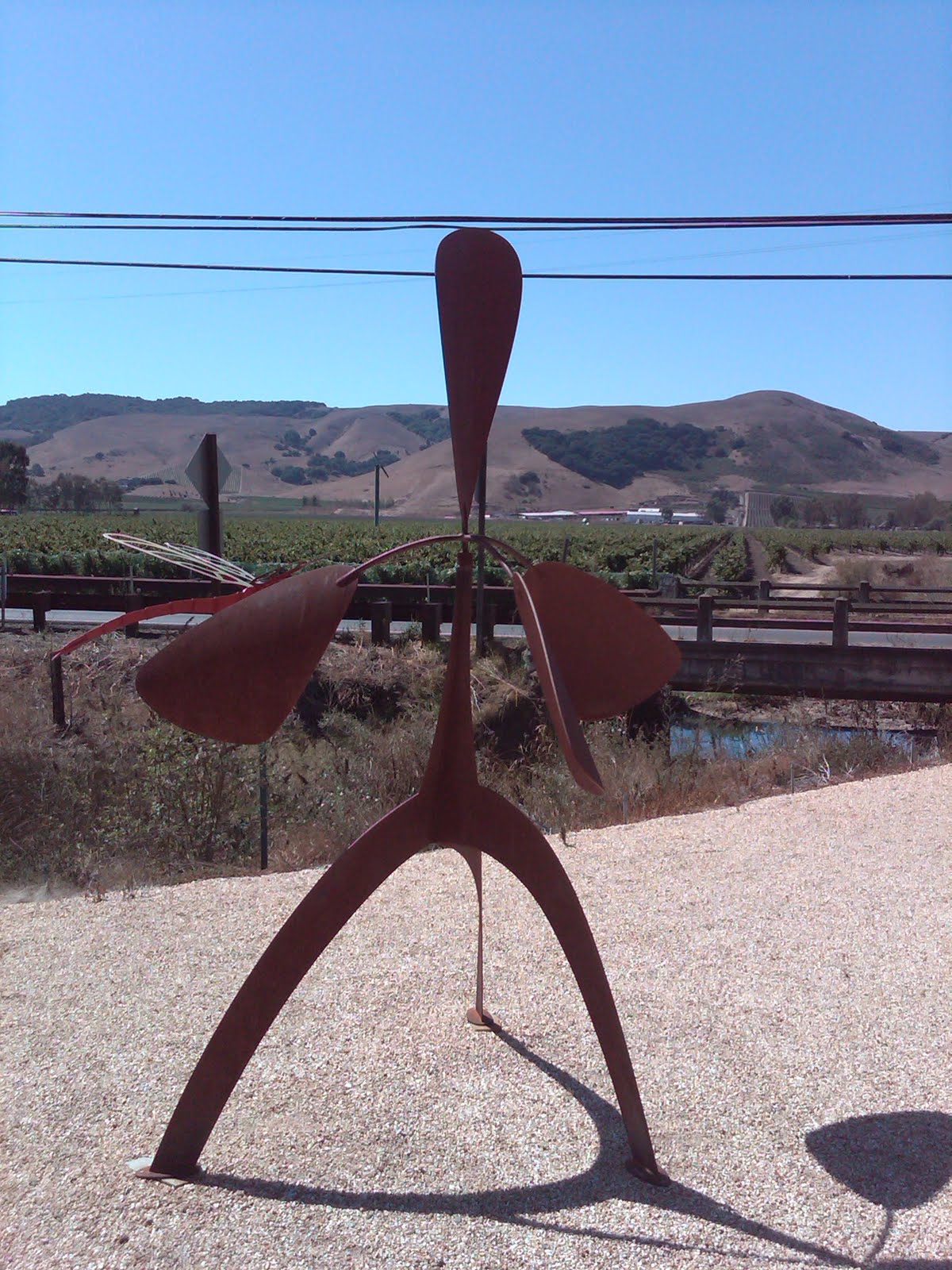 [IMG00558-20090920-1324.jpg]