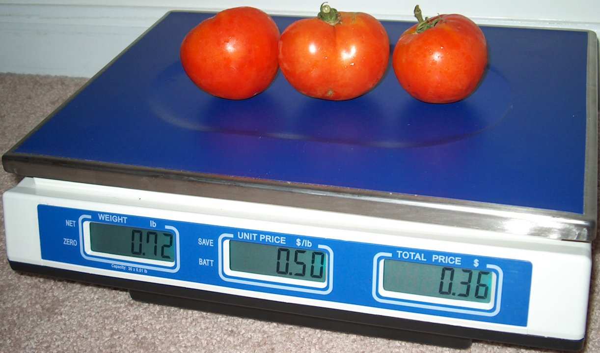 CARPE DIEM Putting Tomatoes On The Bathroom Scale 