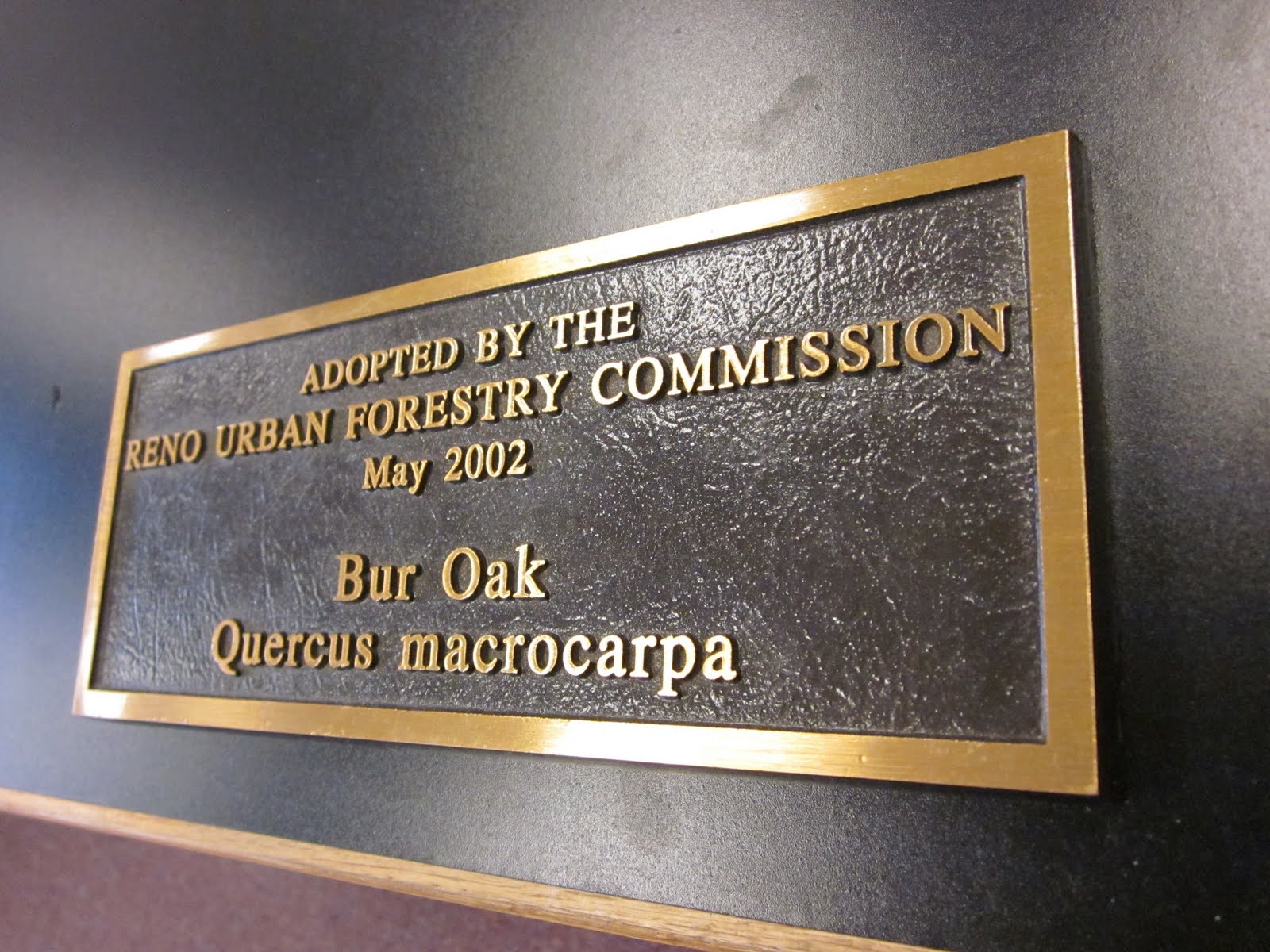 Signs On Time Brass Plaques