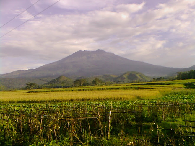 GUNUNG LAWU