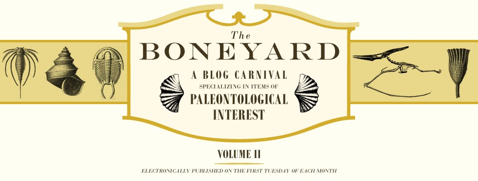 The Boneyard Blog Carnival