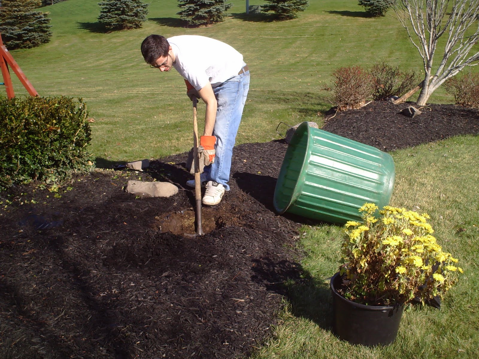 Bryk City Landscaping Spreading Mulch, edging, & bush trimming in