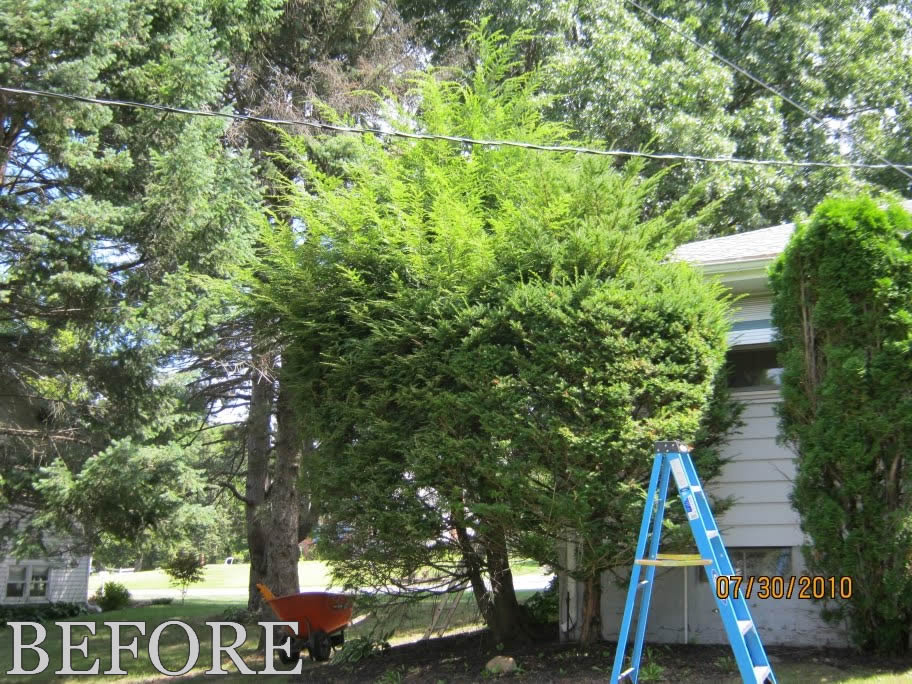 Bryk City Landscaping Bush Trimming in Latham, New York 12110