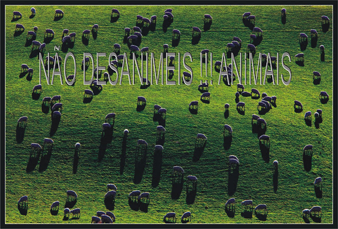 Não desanimeis ! Animais.