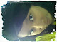 Foto saya