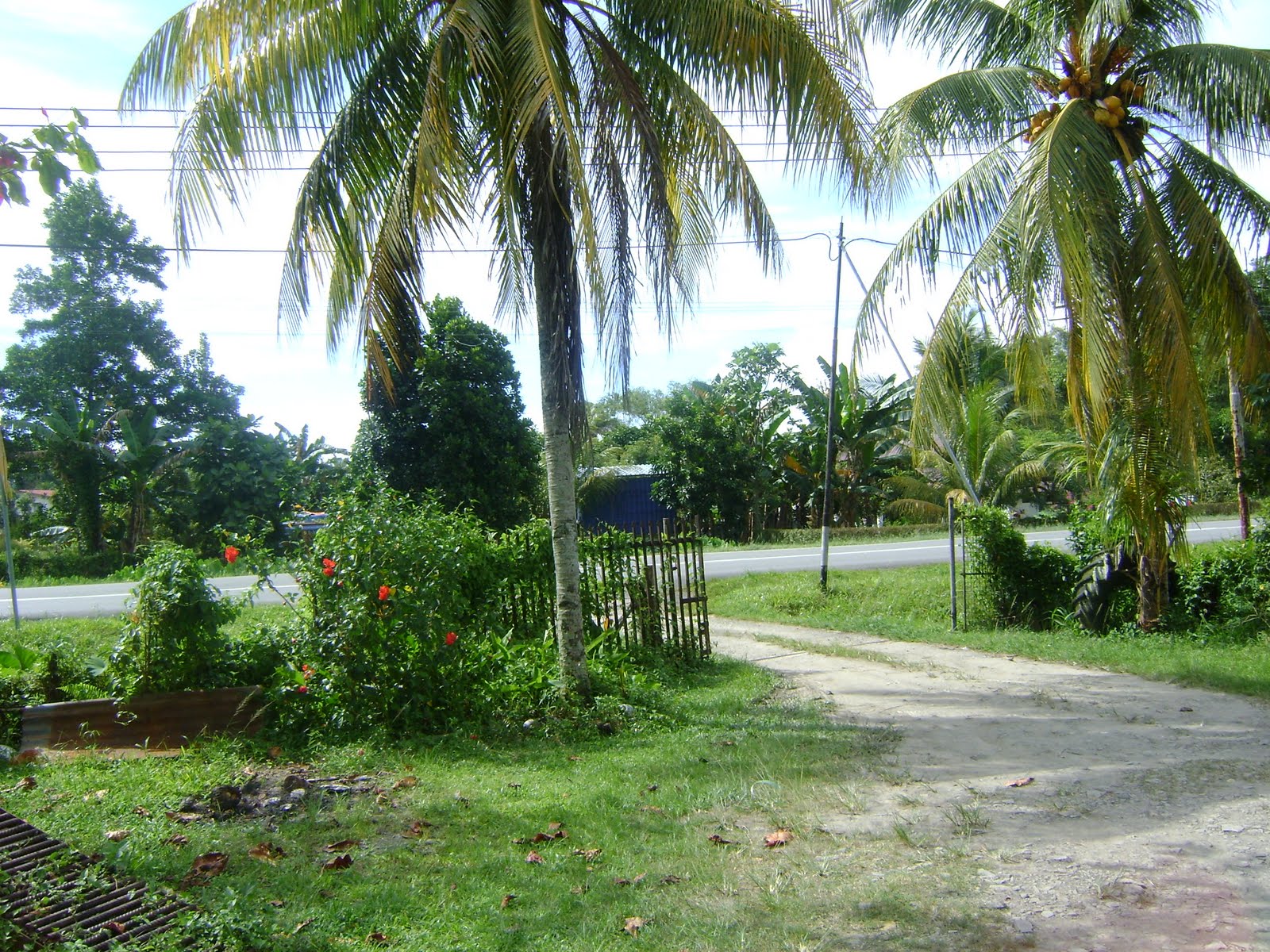 JW Property 5.1 acres of NT land at kinarut