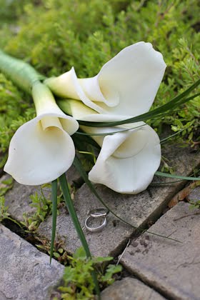 Bride made bouquet for her downtown Milwaukee wedding with flowers from Sendik's