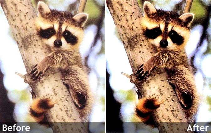 living and loving for Christ More edits