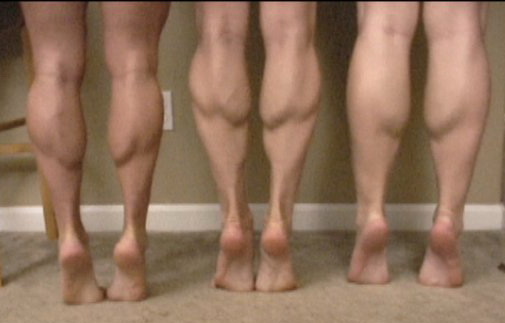 [group+calves+1.jpg]
