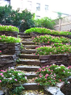 [123and125staircase.jpg]