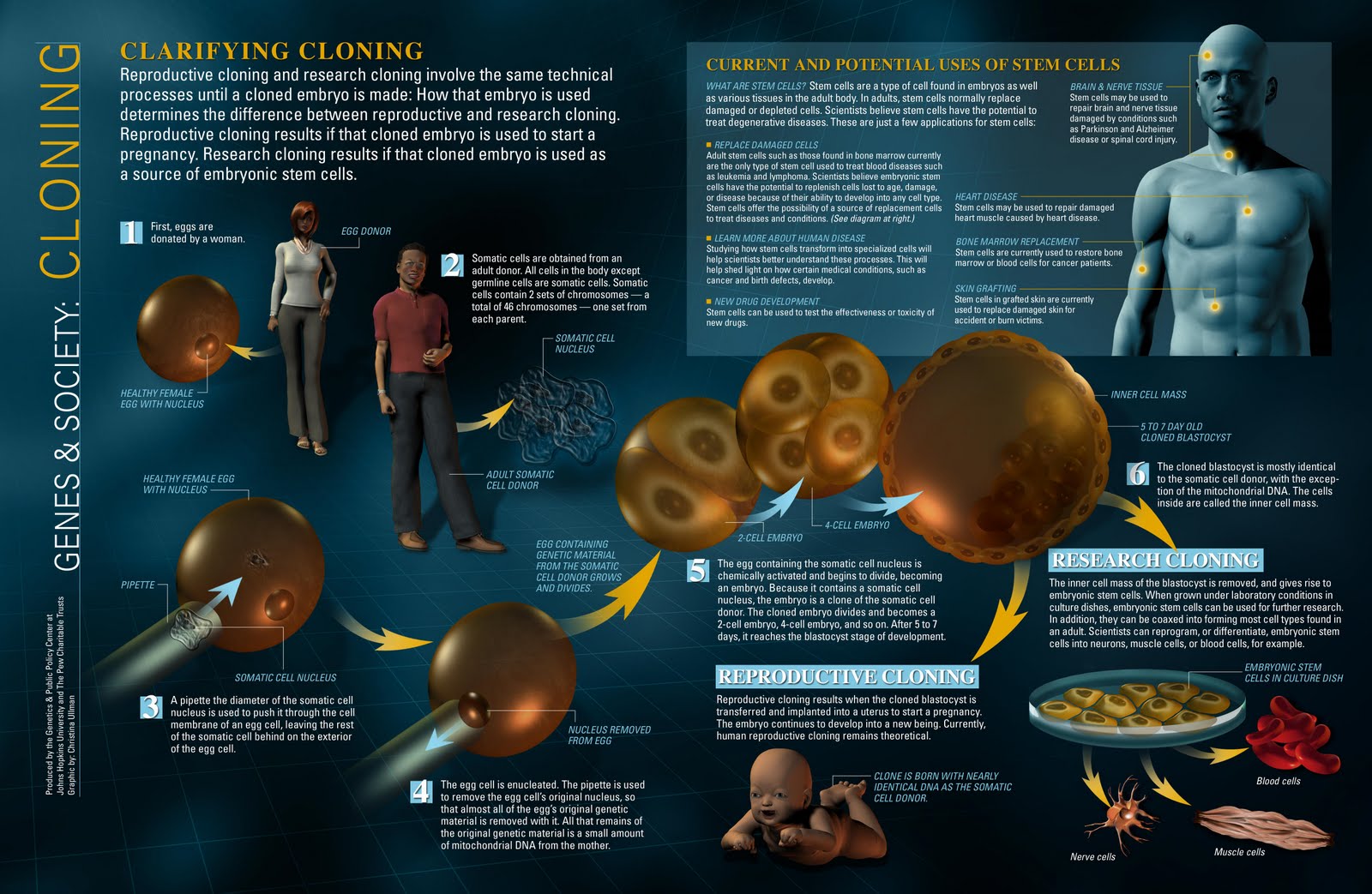 Live and Uncensored!: Clarifying Cloning