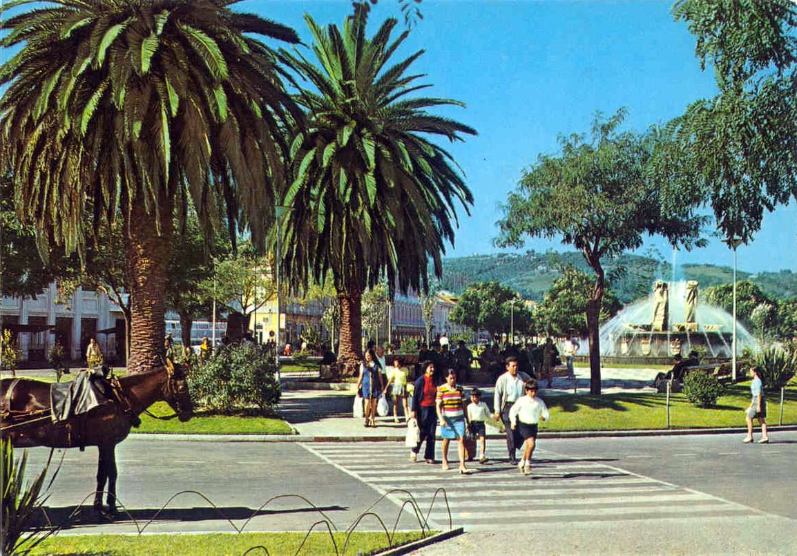 [Setúbal+-+Avenida+Luiza+Tody+(p).jpg]