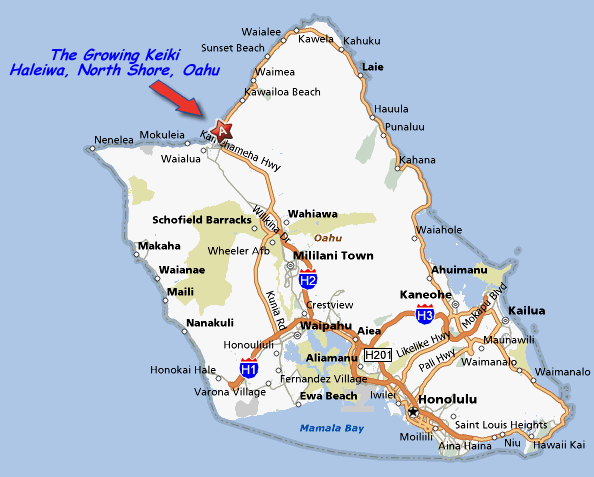 Haleiwa em detalhes