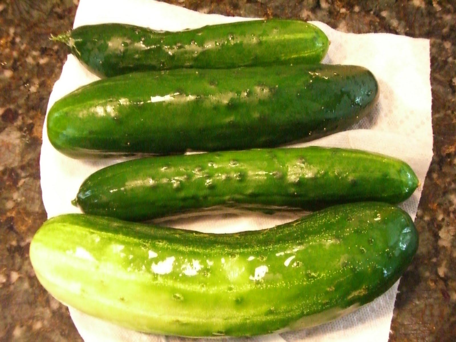 How Old Is Pickle Wheat Found in the wild sold at general goods shops