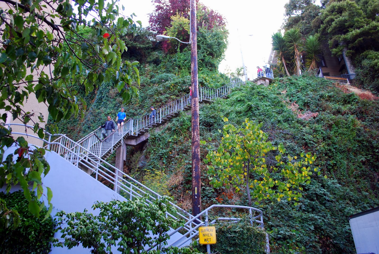 Filbert Steps