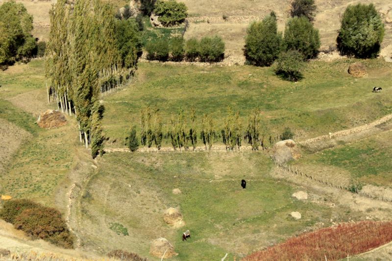 ghajarboy picture larijan لاریجان