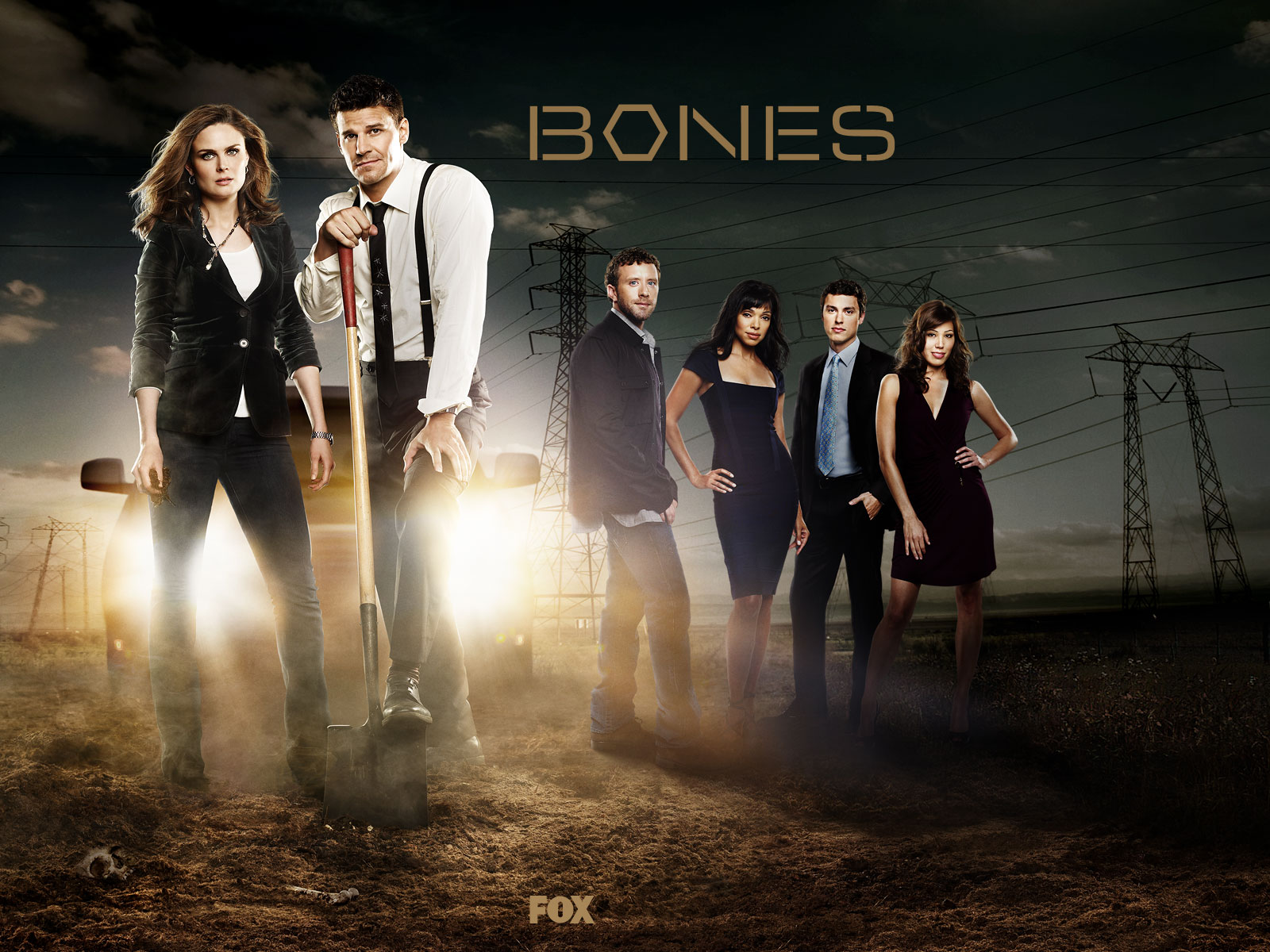 Awesome TV Series Bones