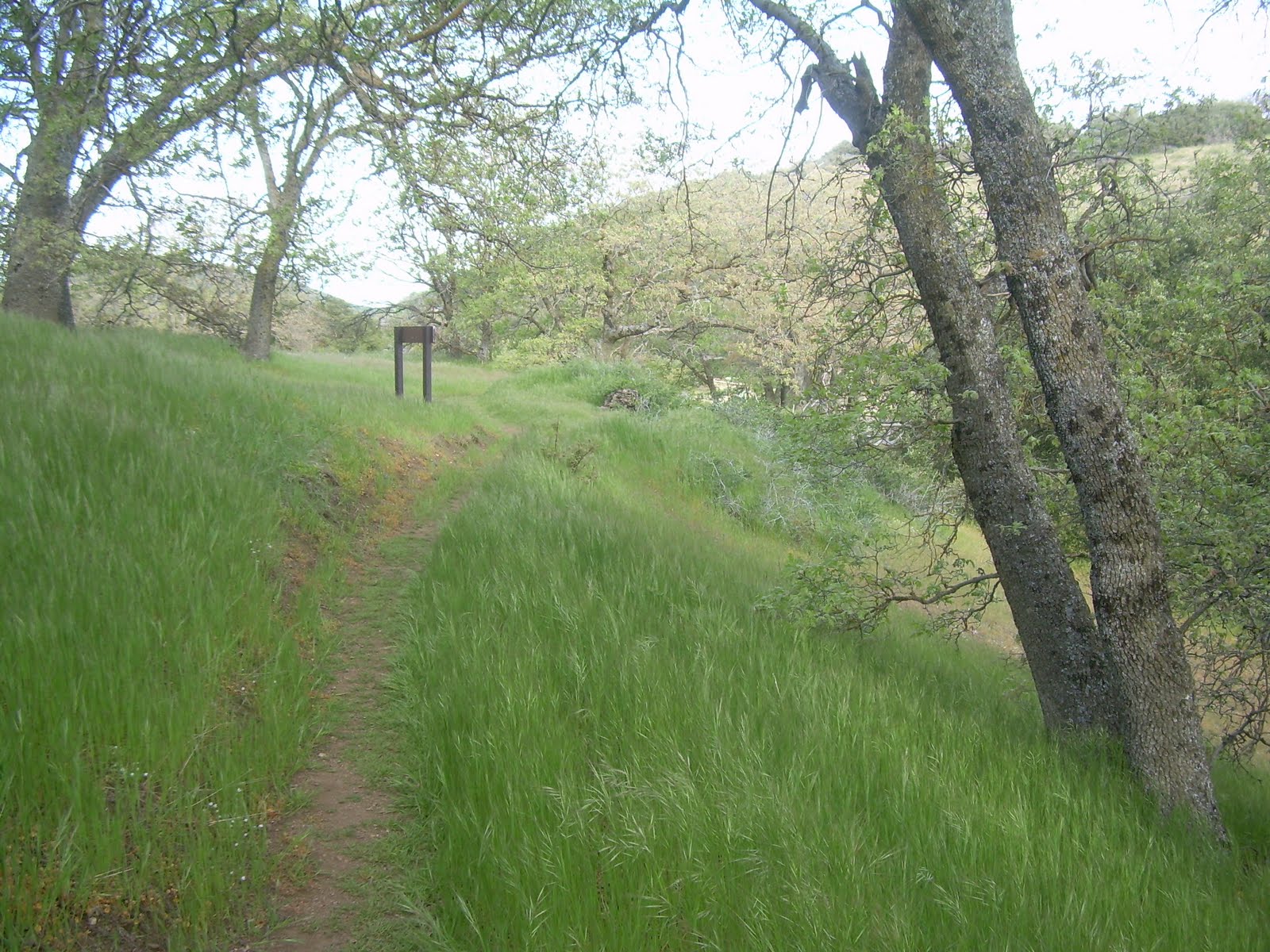 Another Long Walk Carrying a Bag of... Rocks? Yes, Rocks.