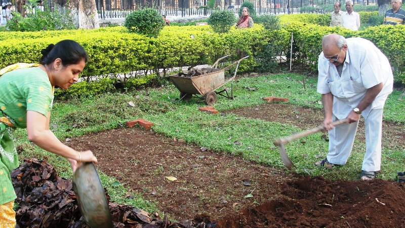 Urban Leaves India: Community City Farm at Nana Nani Park Chowpatty