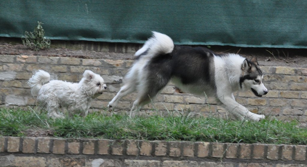 [17-catch-me-if-you-can.jpg]