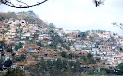 Foto del sector 1