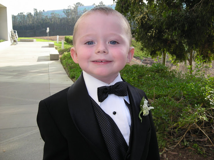 Brian & Laura's Wedding