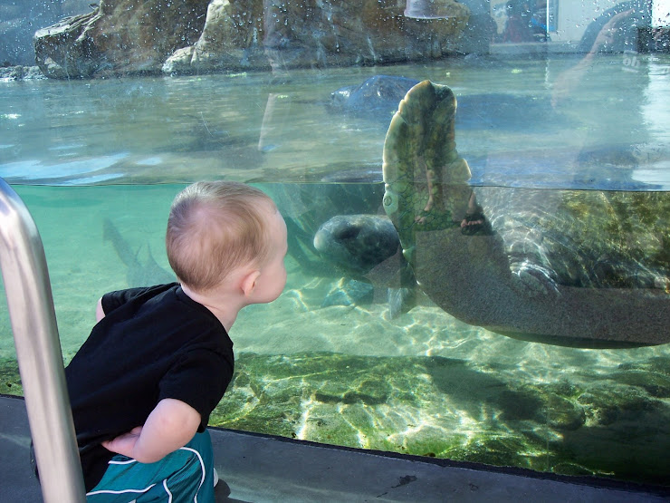 That turtle kissed me...