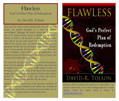Flawless, God's Perfect Plan of Redemption