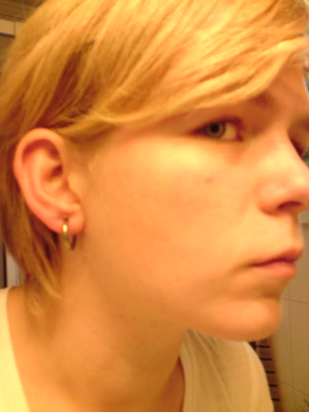 [image-upload-132-763640.jpg]