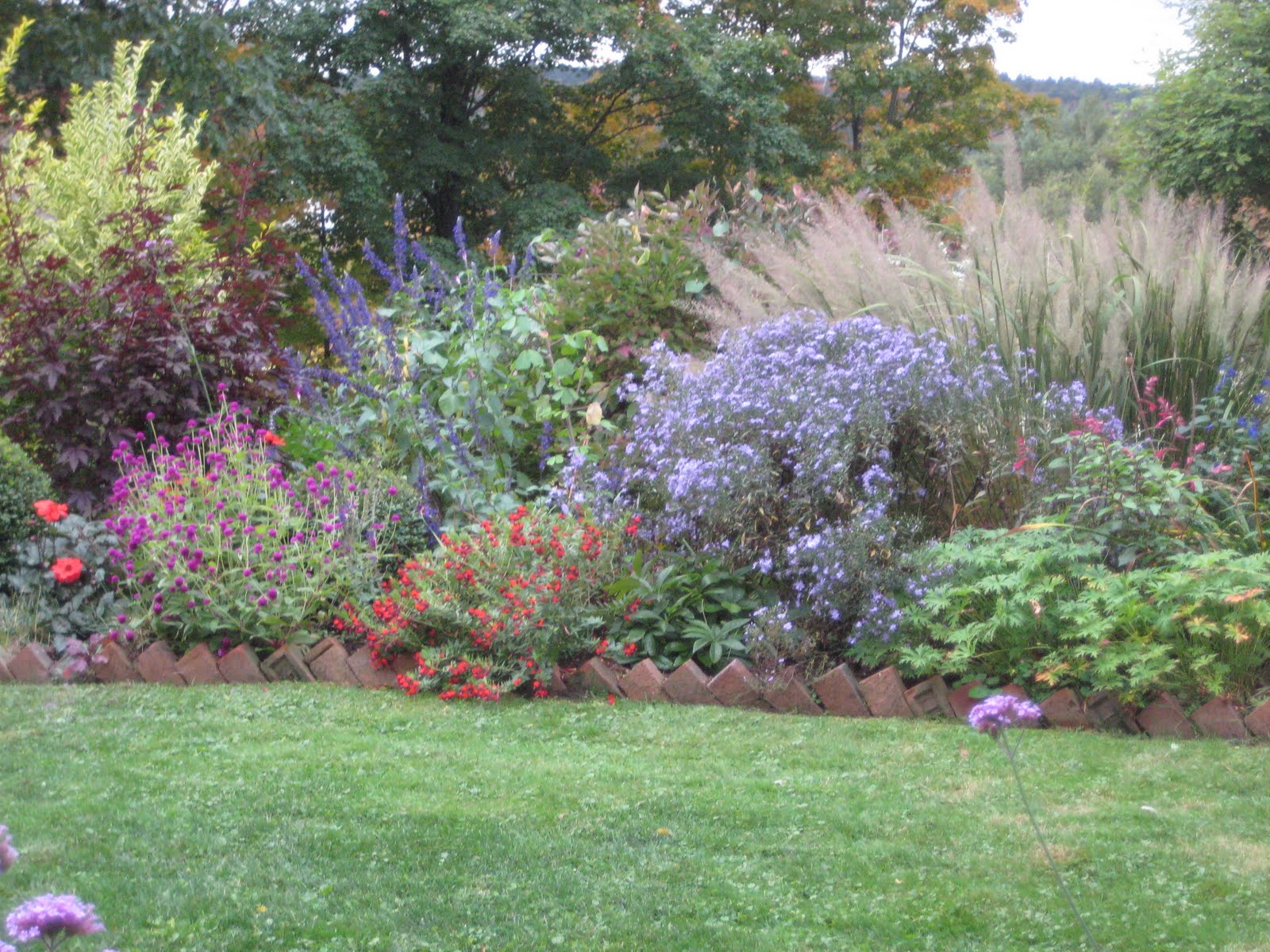 The Gardener's Eye The Mixed Border in Early October