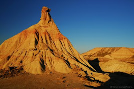 Caltildetierra.Bardeles Reales Navarra