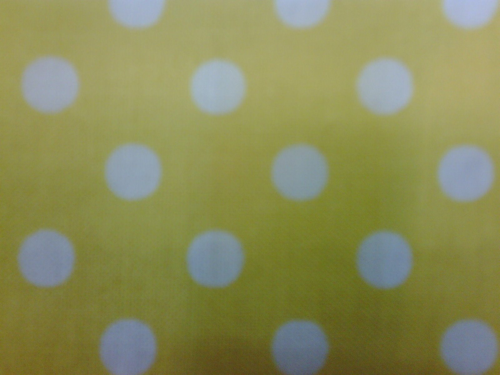 [yellow_white+polka.JPG]