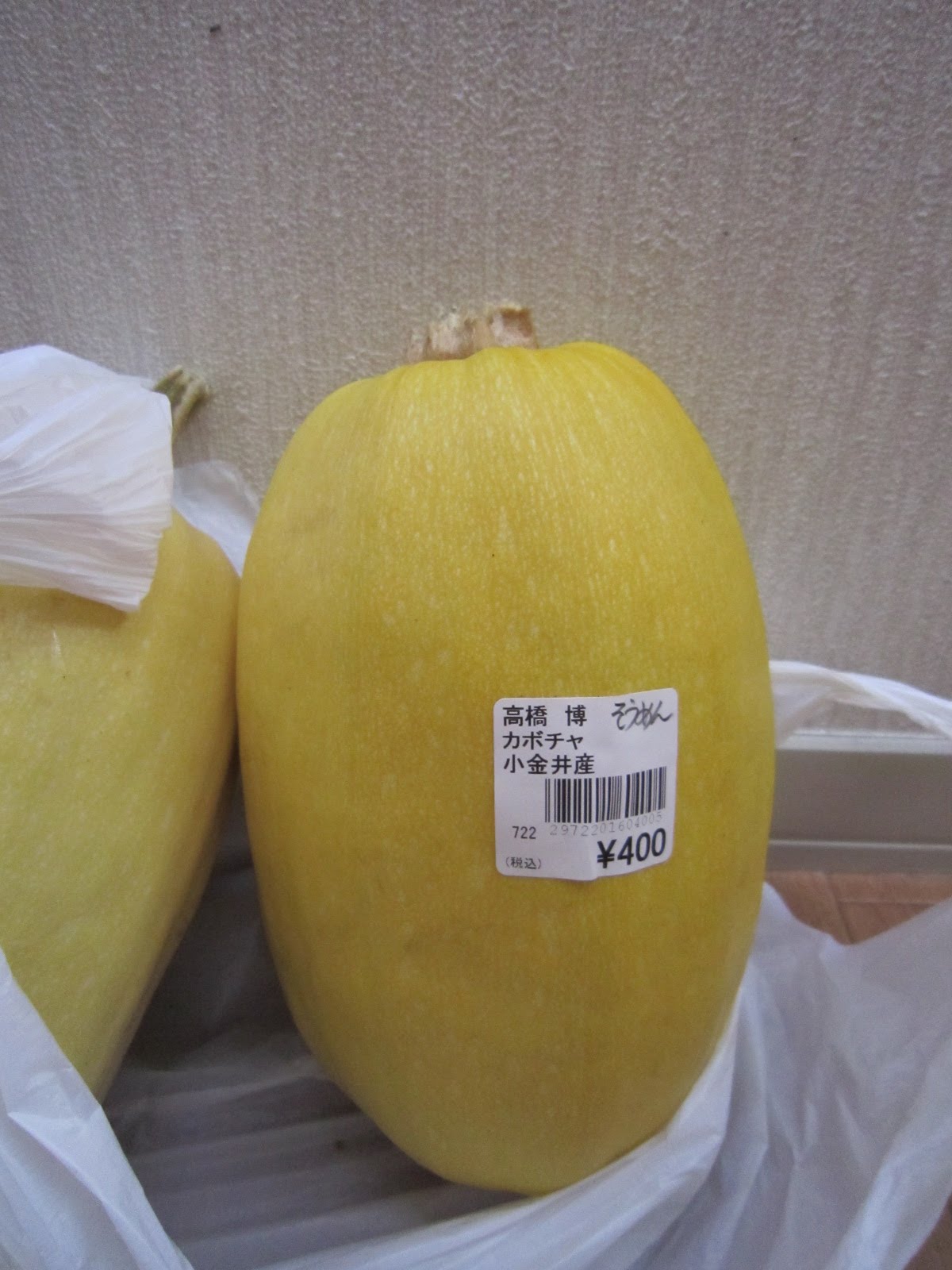 Washism Why my noodle squash smelt like melon