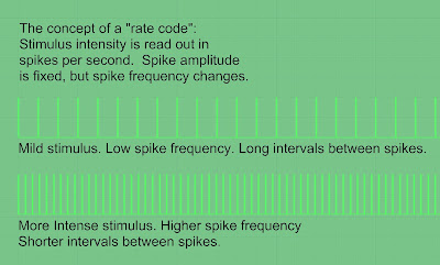 How a rate code works.