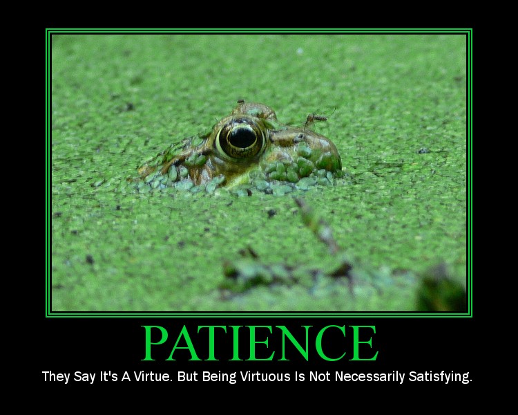 [patience.jpg]