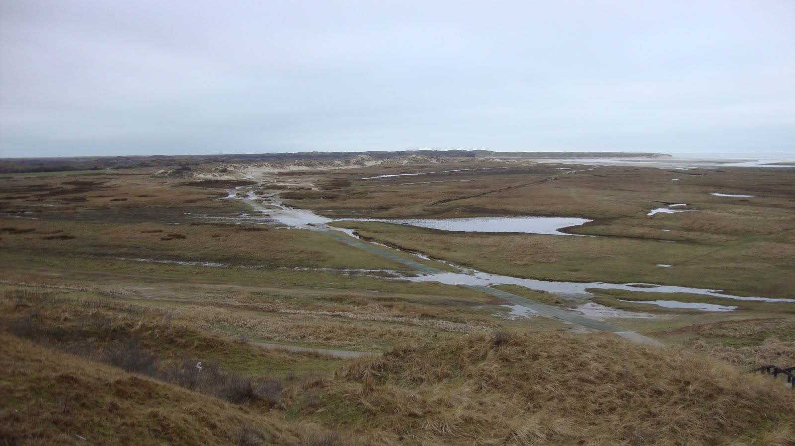 [Texel+-2-2010+049.JPG]