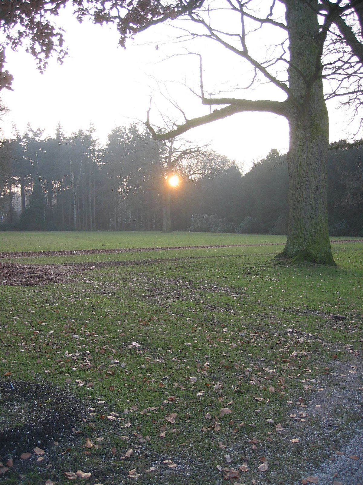 [IMG_3239.JPG]