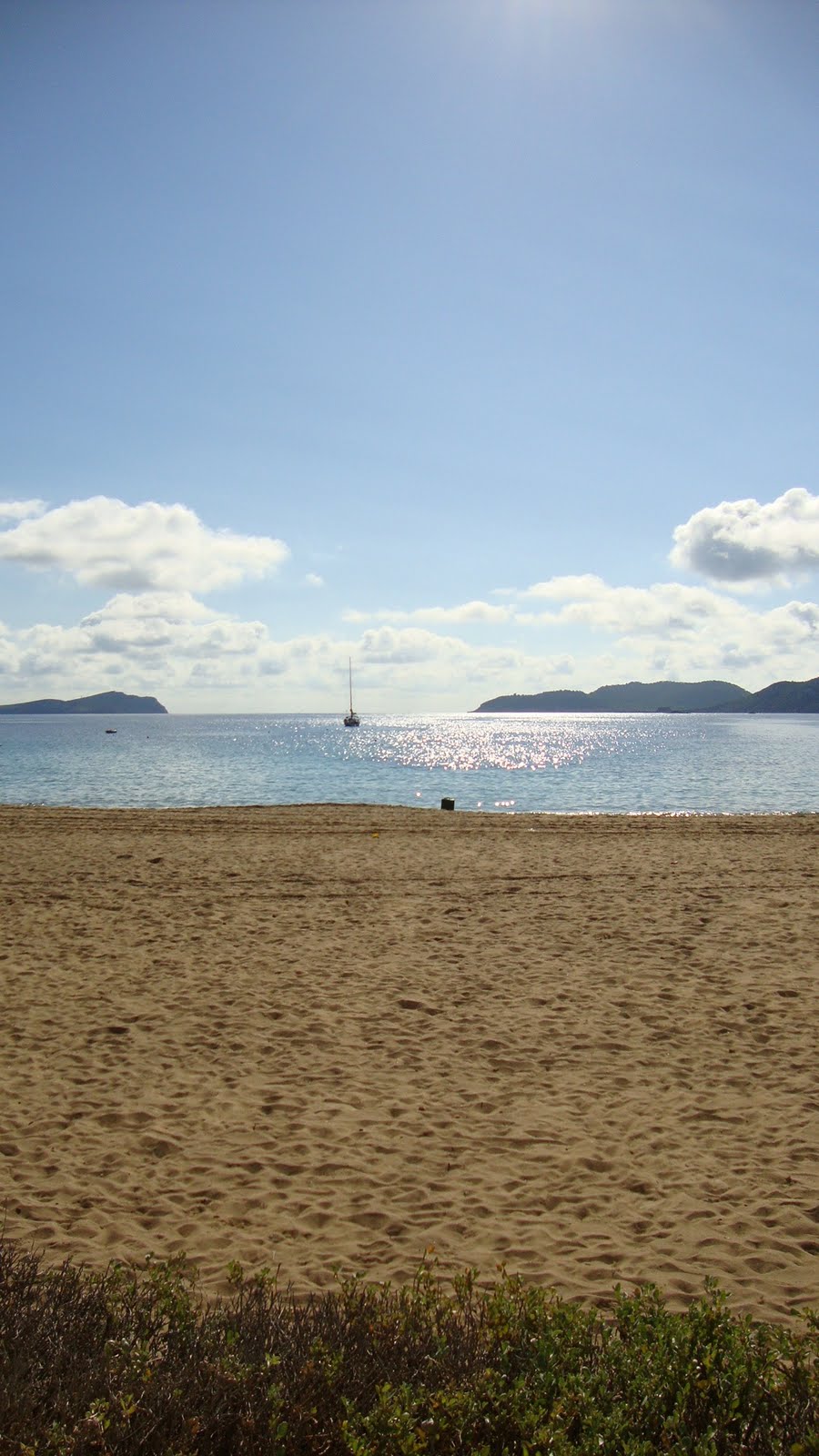 [DSC00243.JPG]