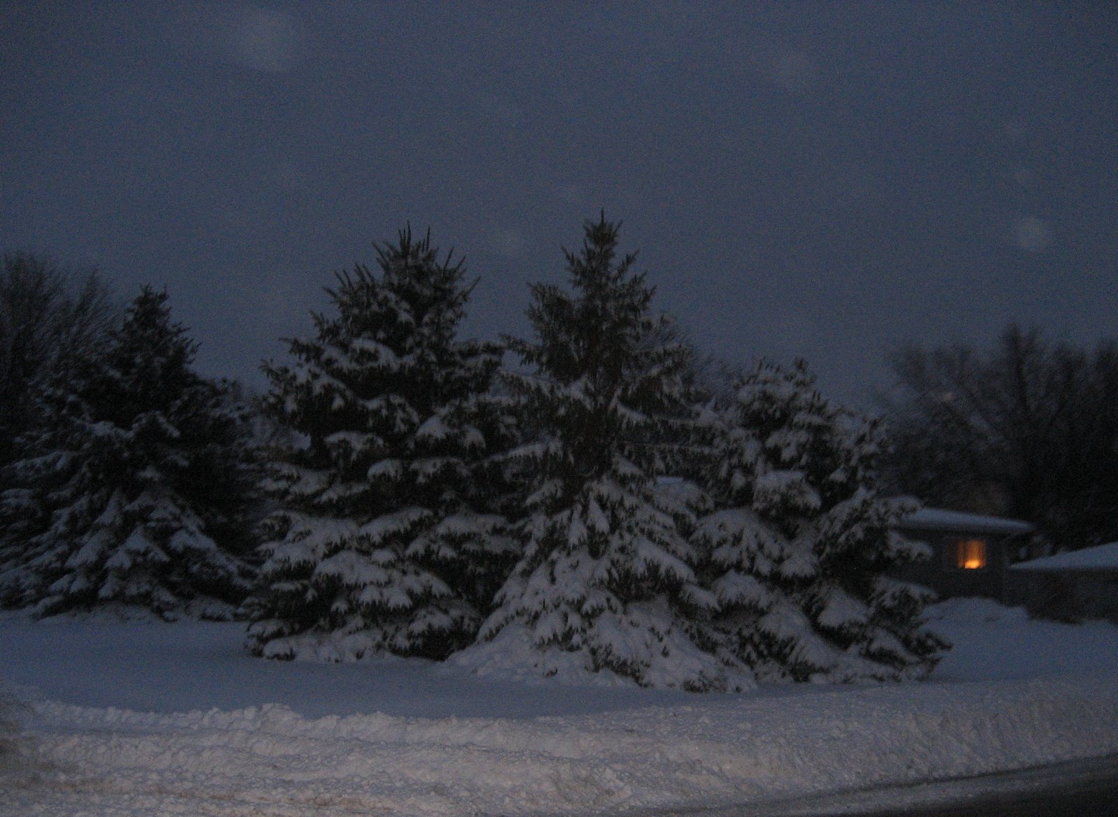 [2008+Feb+1+snow+035.jpg]
